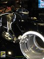 tronies